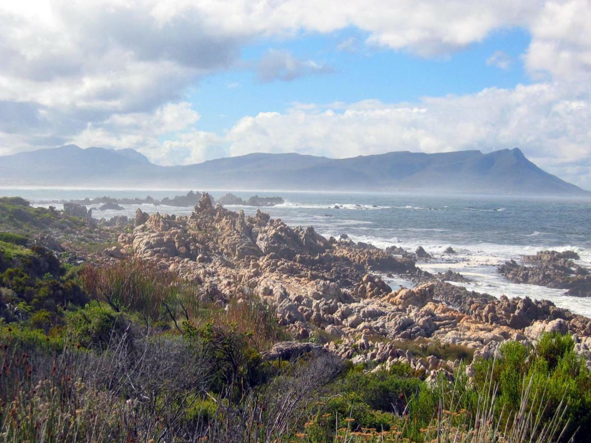 36 Df Strauss Street Apartment Kleinmond Luaran gambar